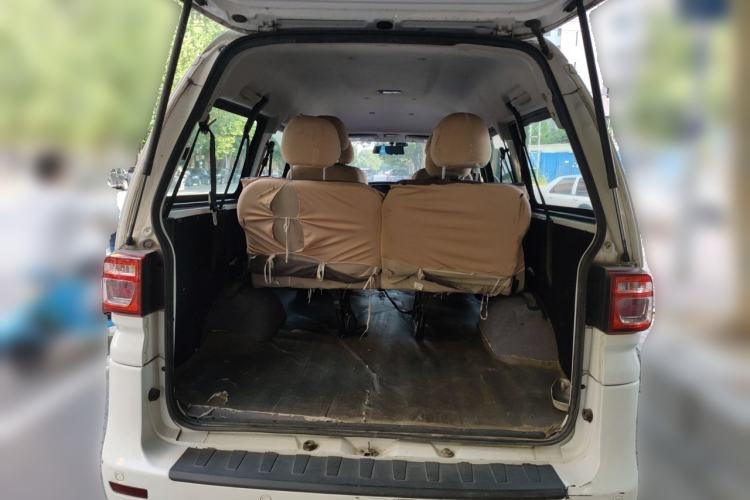 Used FORTHING Lingzhi  Trunk