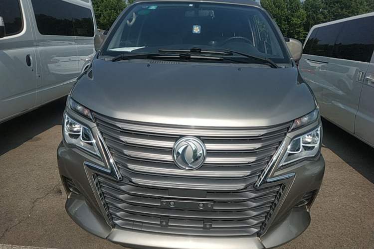 Used FORTHING Lingzhi 2020 M5L 1.6L Base Model 9 Seats Front