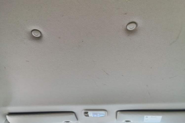 Used FORTHING Lingzhi 2020 M5L 1.6L Utility Model Headliner