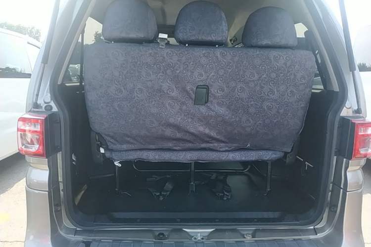 Used FORTHING Lingzhi 2020 M5L 1.6L Base Model 9 Seats Trunk