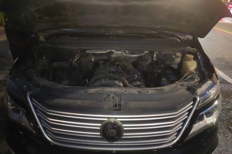 Used FORTHING Lingzhi 2021 M5L 2.0L Utility Model Engine Bay
