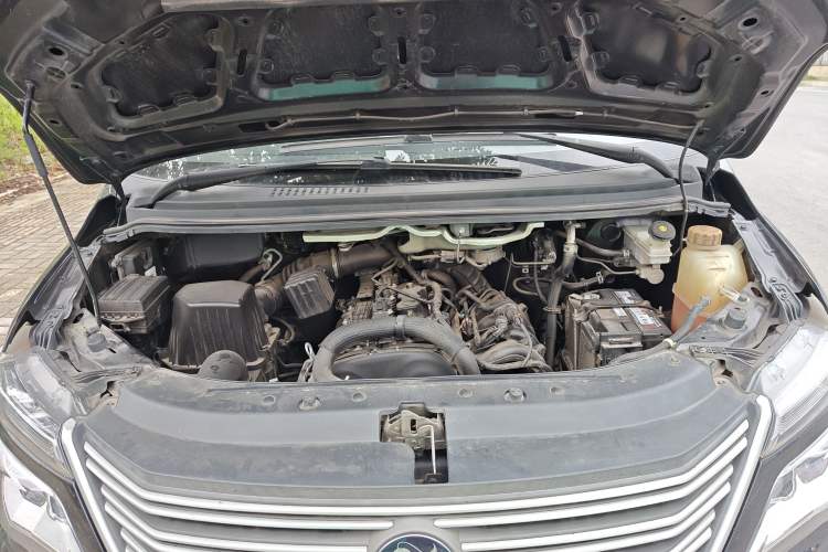 Used FORTHING Lingzhi 2021 M5L 2.0L Utility Model Engine Bay