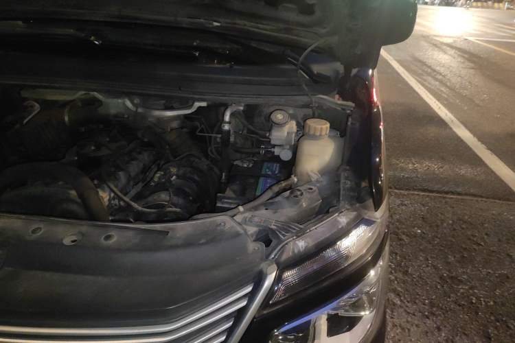 Used FORTHING Lingzhi 2021 M5L 2.0L Utility Model Engine Bay Left