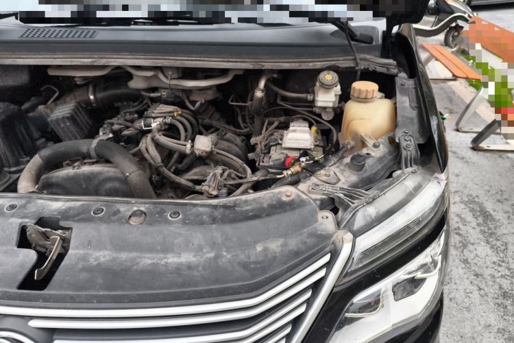 Used FORTHING Lingzhi 2021 M5L 2.0L Utility Model Engine Bay Left