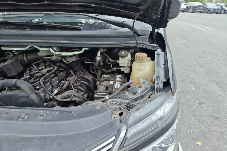 Used FORTHING Lingzhi 2021 M5L 2.0L Utility Model Engine Bay Left