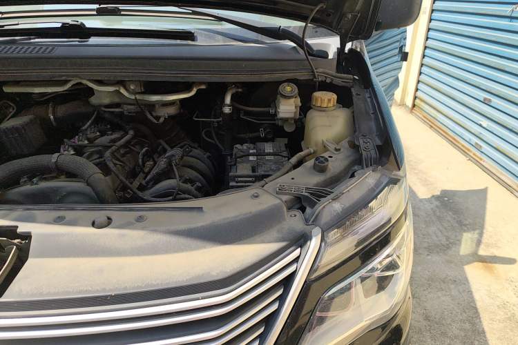 Used FORTHING Lingzhi 2021 M5L 2.0L Utility Model Engine Bay Left