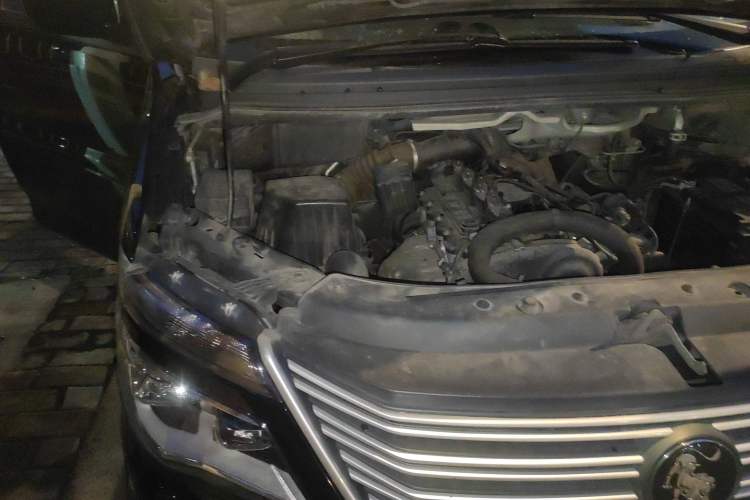 Used FORTHING Lingzhi 2021 M5L 2.0L Utility Model Engine Bay Right