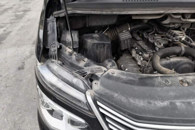 Used FORTHING Lingzhi 2021 M5L 2.0L Utility Model Engine Bay Right