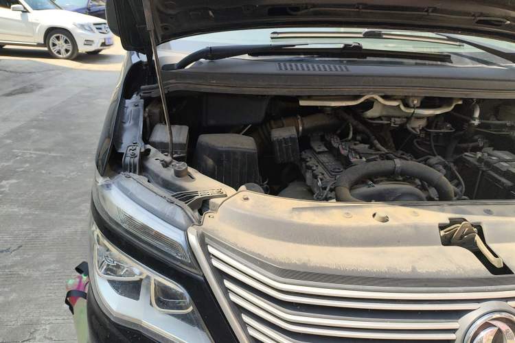 Used FORTHING Lingzhi 2021 M5L 2.0L Utility Model Engine Bay Right