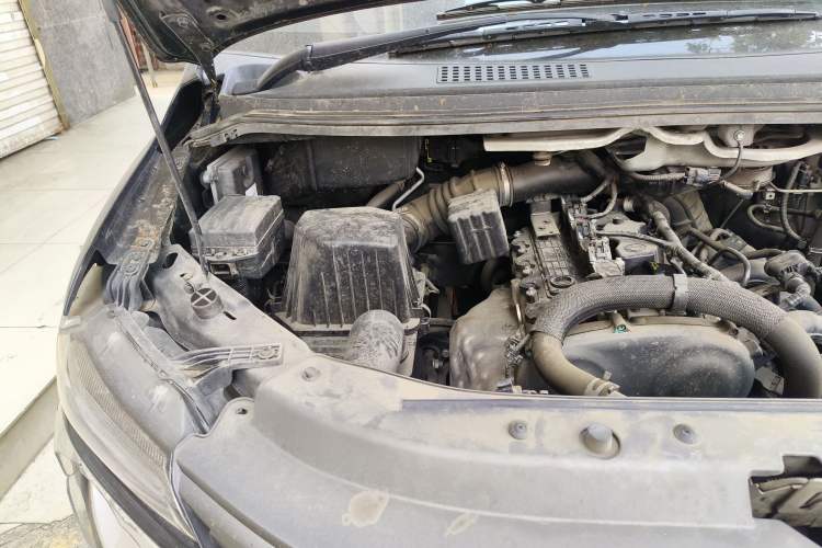 Used FORTHING Lingzhi 2021 M5L 2.0L Utility Model Engine Bay Right