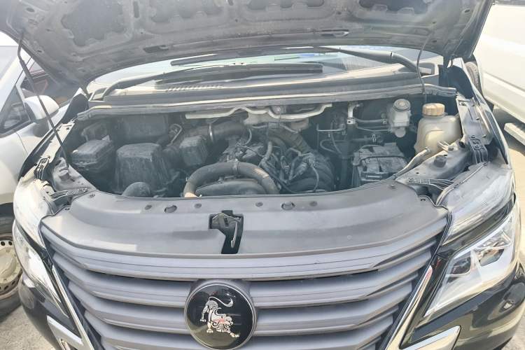 Used FORTHING Lingzhi 2021 M5L 2.0L Utility Model Engine Bay