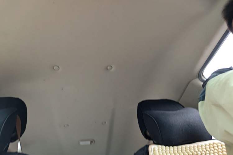 Used FORTHING Lingzhi 2021 M5L 2.0L Utility Model Headliner