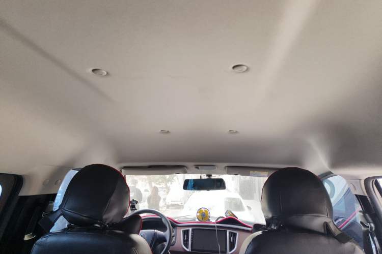 Used FORTHING Lingzhi 2021 M5L 2.0L Utility Model Headliner
