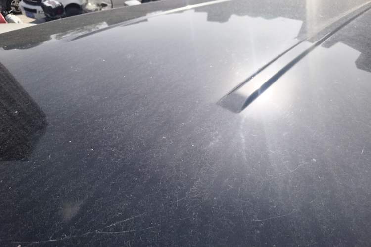 Used FORTHING Lingzhi 2021 M5L 2.0L Utility Model Roof