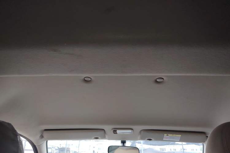 Used FORTHING Lingzhi 2021 M5L 2.0L Utility Model Headliner