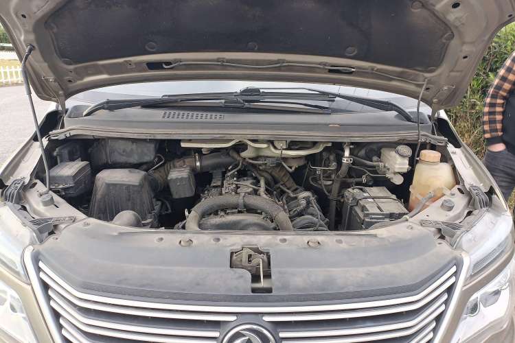 Used FORTHING Lingzhi 2021 M5L 2.0L Utility Model Engine Bay