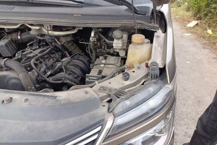 Used FORTHING Lingzhi 2021 M5L 2.0L Utility Model Engine Bay Left