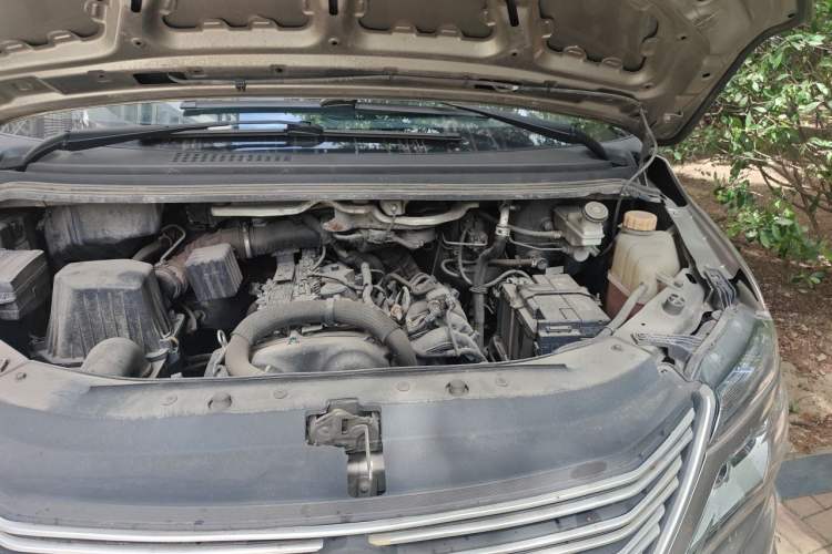 Used FORTHING Lingzhi 2021 M5L 2.0L Utility Model Engine Bay Left
