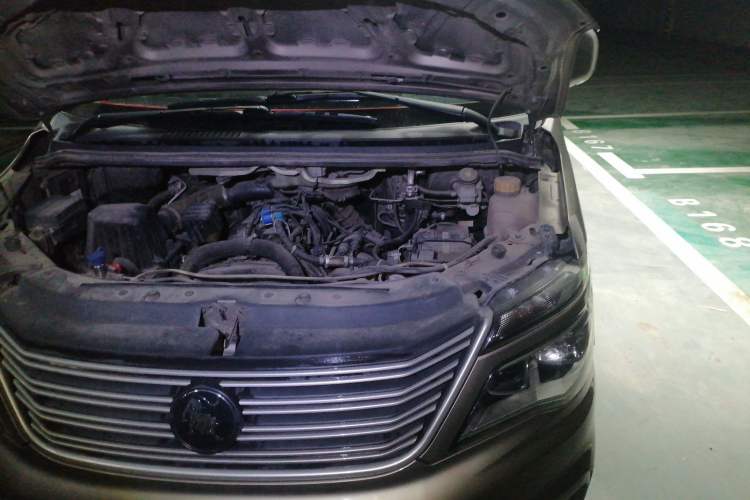 Used FORTHING Lingzhi 2021 M5L 2.0L Utility Model Engine Bay Left
