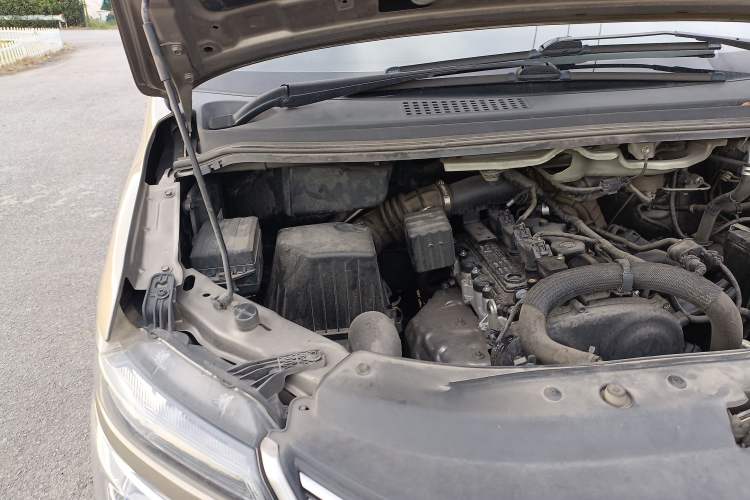 Used FORTHING Lingzhi 2021 M5L 2.0L Utility Model Engine Bay Right