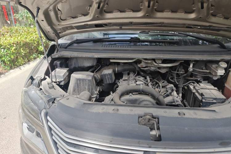Used FORTHING Lingzhi 2021 M5L 2.0L Utility Model Engine Bay Right