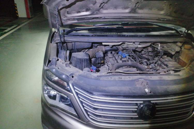 Used FORTHING Lingzhi 2021 M5L 2.0L Utility Model Engine Bay Right