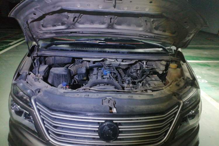 Used FORTHING Lingzhi 2021 M5L 2.0L Utility Model Engine Bay