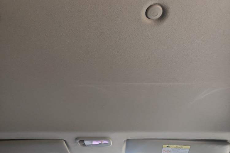 Used FORTHING Lingzhi 2021 M5L 2.0L Utility Model Headliner