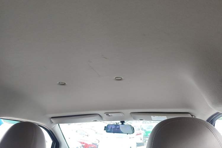 Used FORTHING Lingzhi 2021 M5L 2.0L Utility Model Headliner