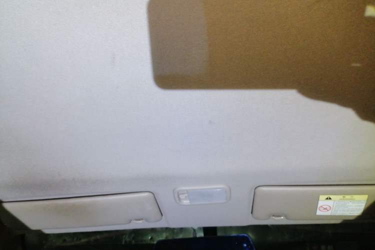 Used FORTHING Lingzhi 2021 M5L 2.0L Utility Model Headliner