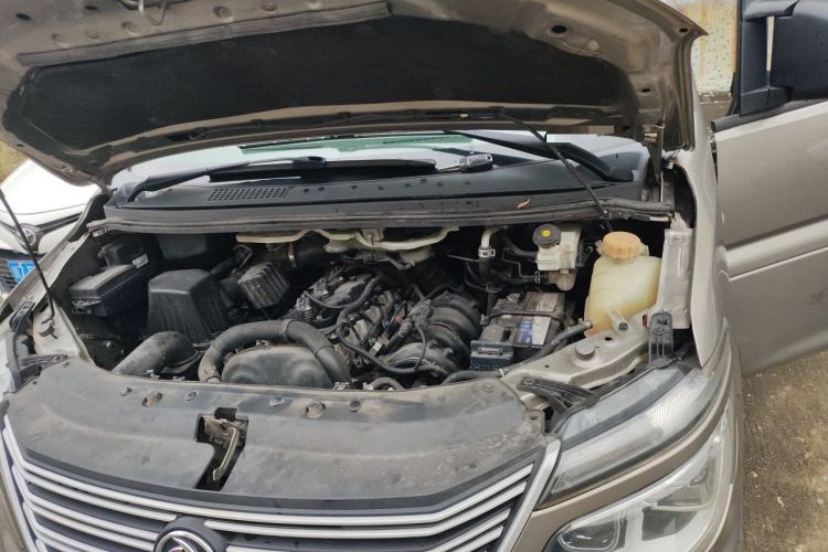 Used FORTHING Lingzhi 2021 M5L 2.0L Utility Model Engine Bay Left