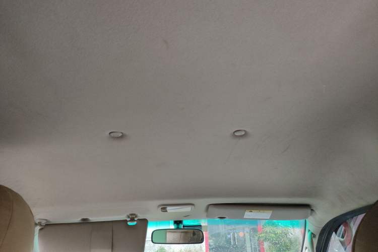 Used FORTHING Lingzhi 2021 M5L 2.0L Utility Model Headliner