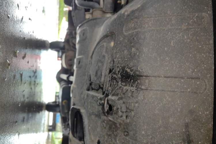 Used FORTHING Lingzhi 2022 Striving Version M5L 1.6L Base Model 9-Seater Chassis Front