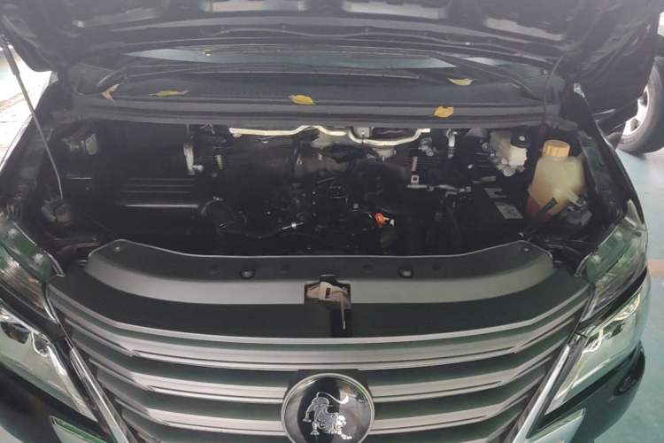 Used FORTHING Lingzhi 2022 Striving Version M5L 1.6L Base Model 7 Seats Engine Bay