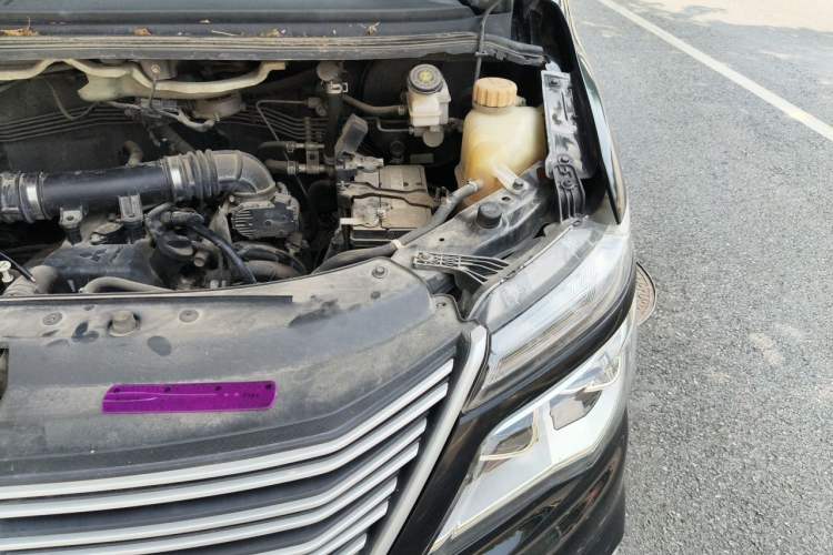 Used FORTHING Lingzhi 2022 M5 1.6L Practical 7-Seater Engine Bay Left