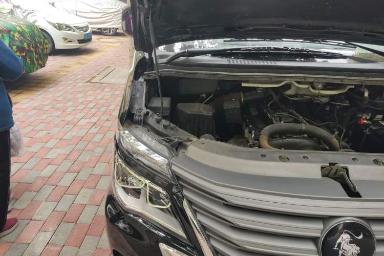 Used FORTHING Lingzhi 2022 Striving Version M5L 2.0L Luxury 7-Seater Engine Bay Right