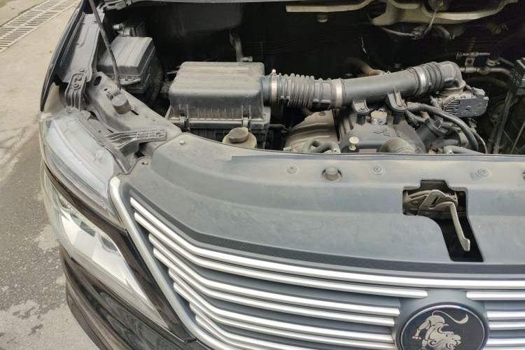 Used FORTHING Lingzhi 2022 M5L 1.6L Utility Model 7 Seats Engine Bay Right