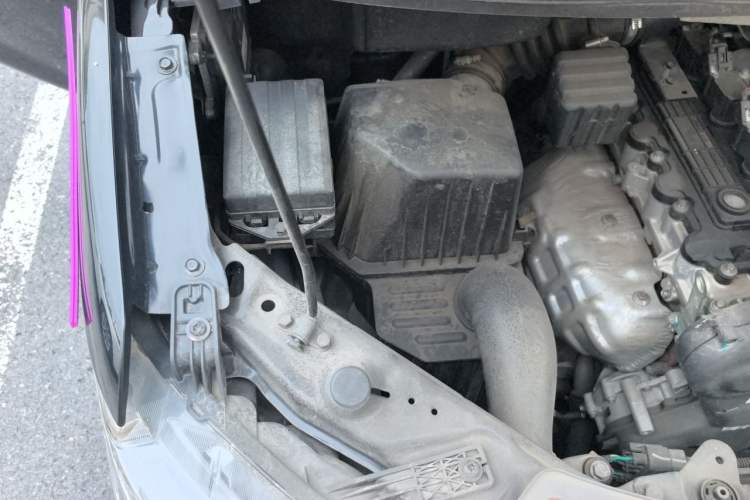 Used FORTHING Lingzhi 2022 M5L 2.0L Utility Model 7 Seats Engine Bay Right