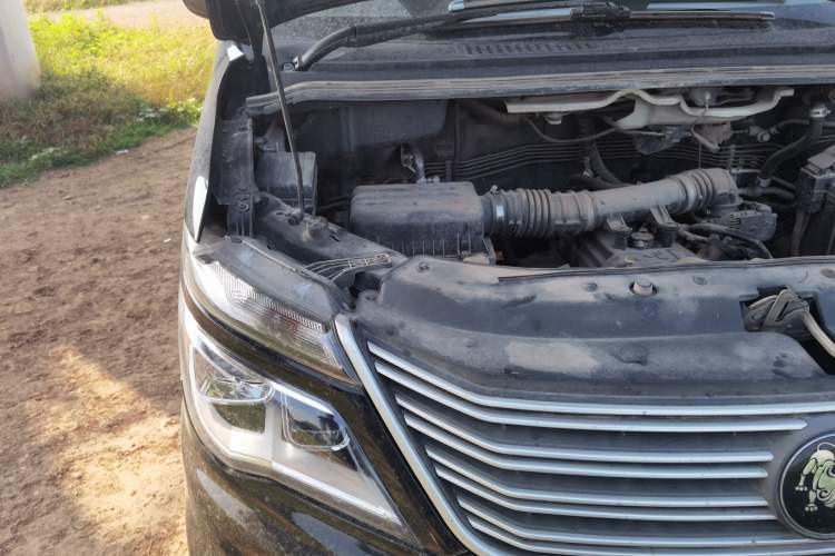 Used FORTHING Lingzhi 2022 M5 1.6L Practical 7-Seater Engine Bay Right