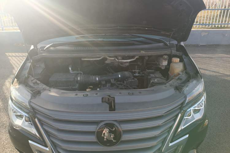 Used FORTHING Lingzhi 2022 Striving Version M5L 1.6L Luxury 7-Seater Engine Bay