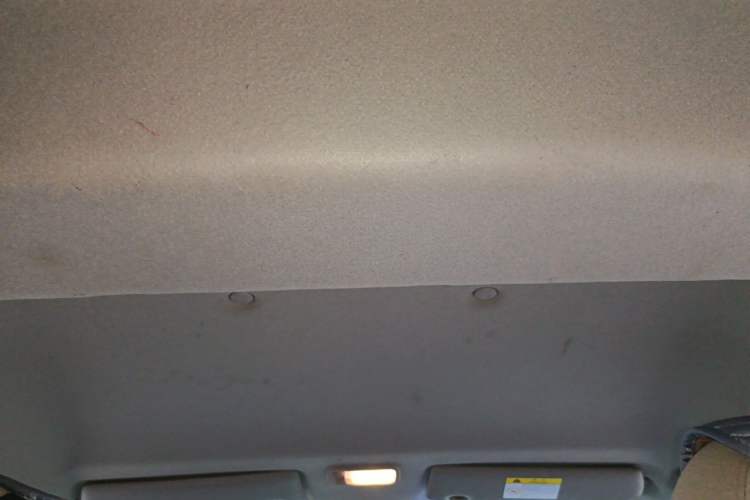 Used FORTHING Lingzhi 2022 Entry-Level M5L 2.0L Basic Version 7 Seats Headliner