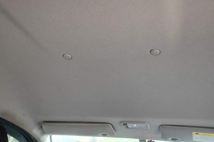 Used FORTHING Lingzhi 2022 M5 1.6L Practical Model 5 Seats Headliner
