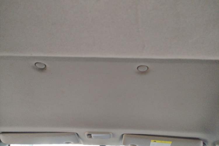 Used FORTHING Lingzhi 2022 M5 1.6L Practical Model 5 Seats Headliner