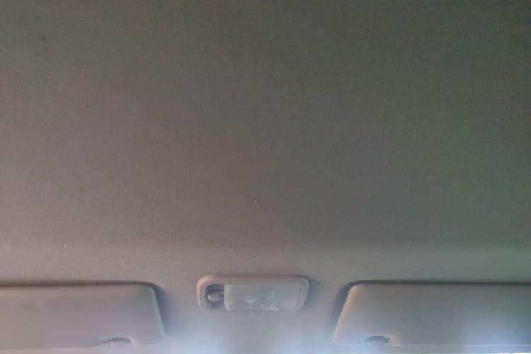 Used FORTHING Lingzhi 2022 V3 1.6L Base Model 2 Seats Headliner