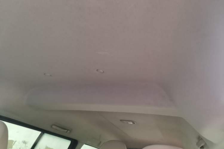 Used FORTHING Lingzhi 2022 M5L 1.6L Utility Model 7 Seats Headliner