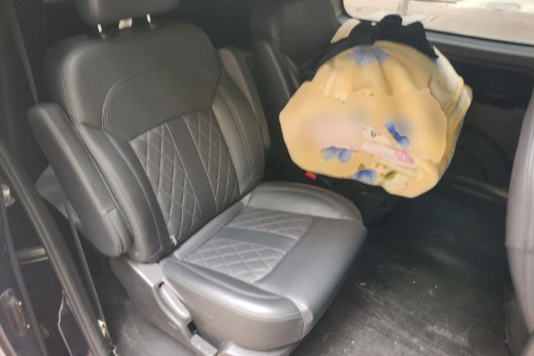Used FORTHING Lingzhi 2022 Striving Version M5L 2.0L Luxury 7-Seater Left Rear Seat