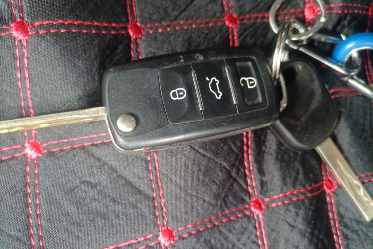 Used FORTHING Lingzhi 2022 Striving Version M5L 2.0L Luxury 7-Seater Vehicle Key
