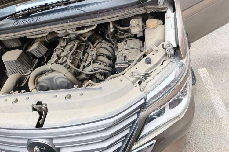 Used FORTHING Lingzhi 2022 Revised Version Workhorse Edition M5L 2.0L Base Model 7 Seats Engine Bay Left