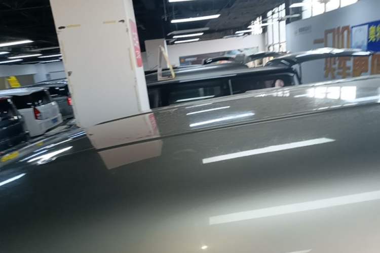 Used FORTHING Lingzhi 2022 Striving Version M5L 1.6L Luxury 7-Seater Roof