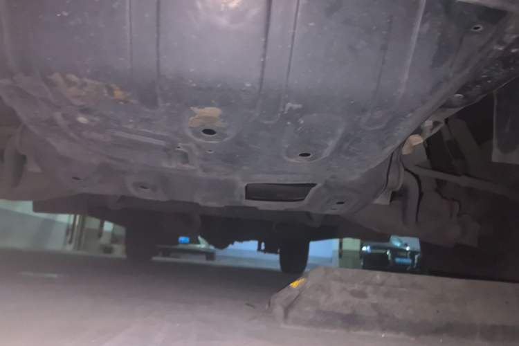 Used FORTHING Lingzhi 2022 Striving Version M5L 2.0L Luxury 7-Seater Chassis Front
